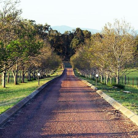 Blueberry Hill Vineyard Stay Rothbury Экстерьер фото