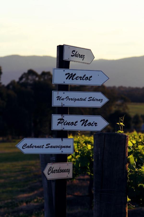 Blueberry Hill Vineyard Stay Rothbury Экстерьер фото