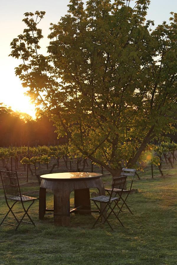 Blueberry Hill Vineyard Stay Rothbury Экстерьер фото
