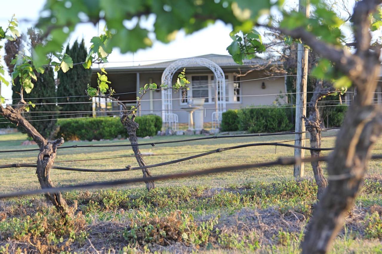 Blueberry Hill Vineyard Stay Rothbury Экстерьер фото