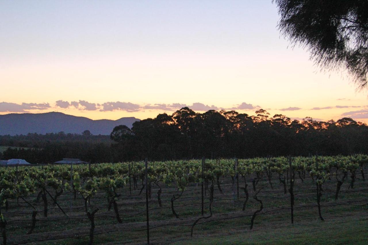 Blueberry Hill Vineyard Stay Rothbury Экстерьер фото