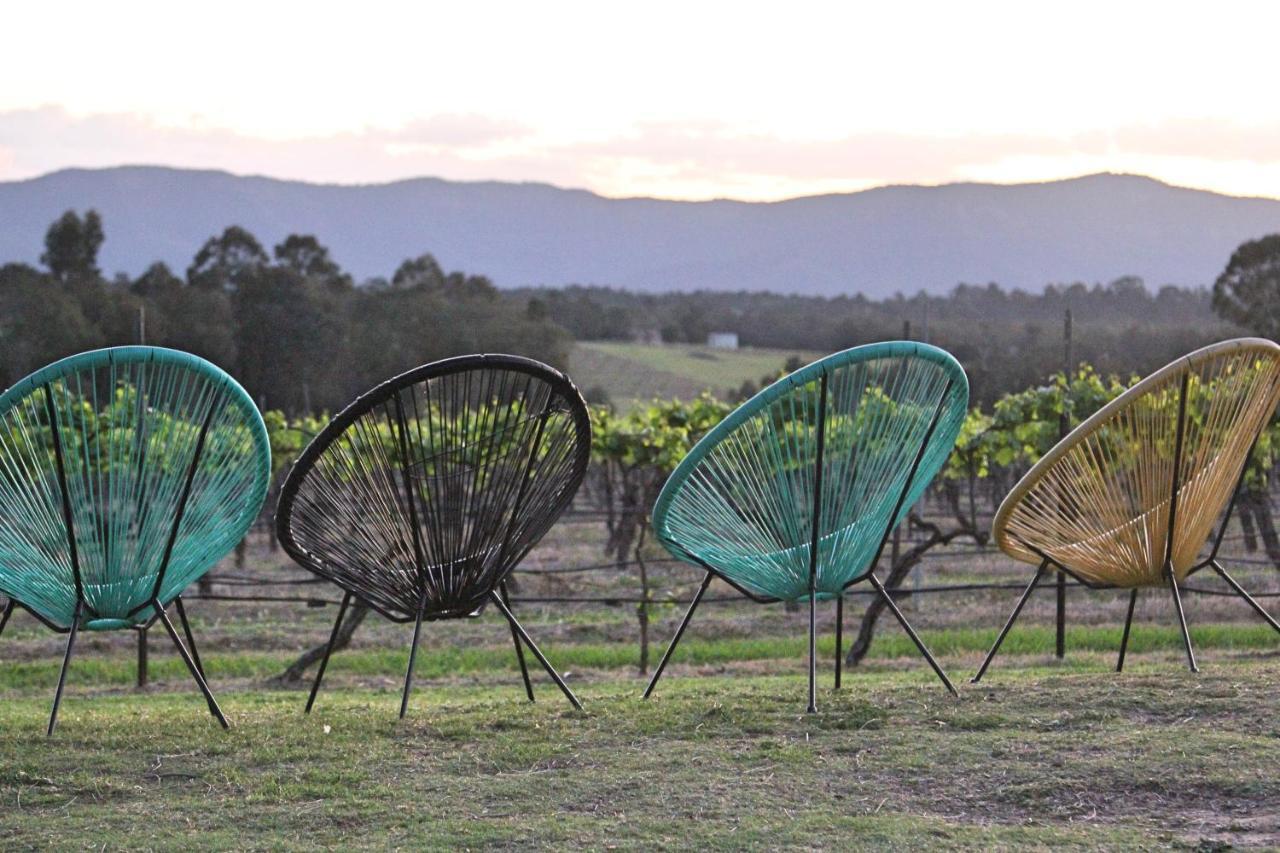 Blueberry Hill Vineyard Stay Rothbury Экстерьер фото